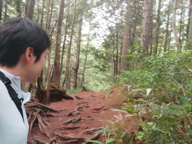 長野の森林を散歩する人