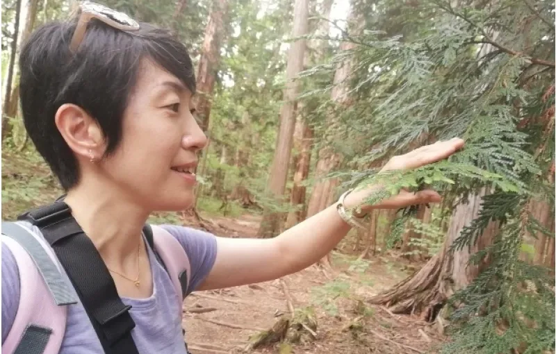 森林浴　上高地