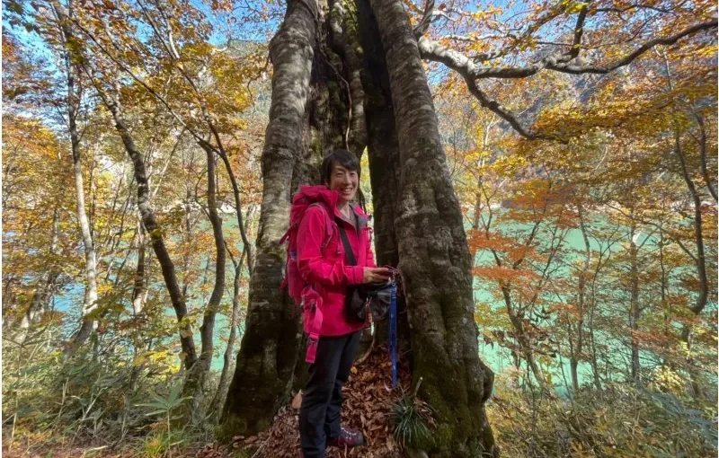 大木　癒しの森林浴