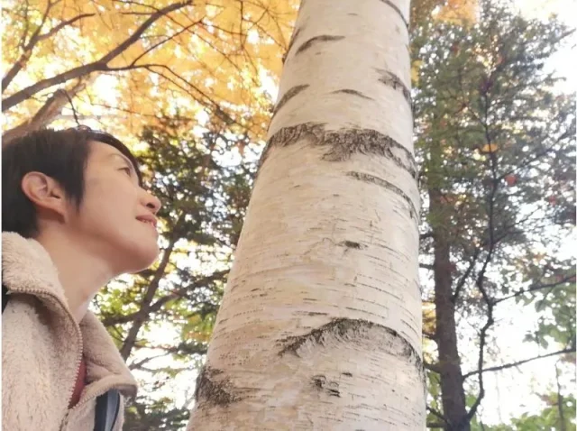 森林浴　木