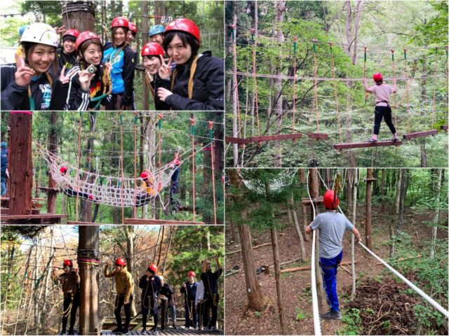 A collage of people wearing helmets and harnesses as they enjoy a full-scale aerial adventure course and suspension bridges in the forest