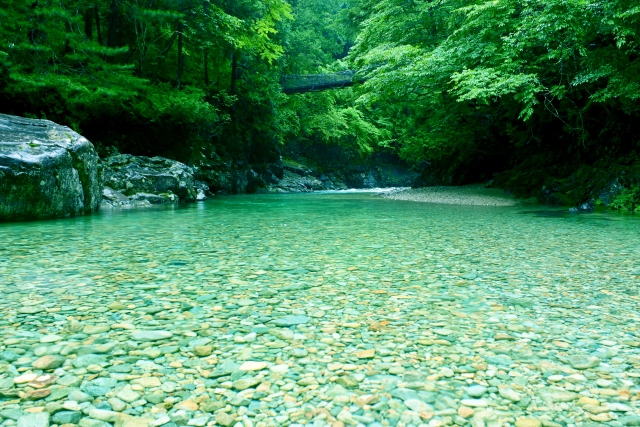 長野の浅瀬で川遊びができる清流　阿寺渓谷