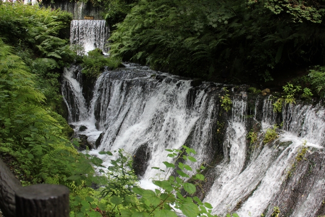 軽井沢　長野　ハイキング