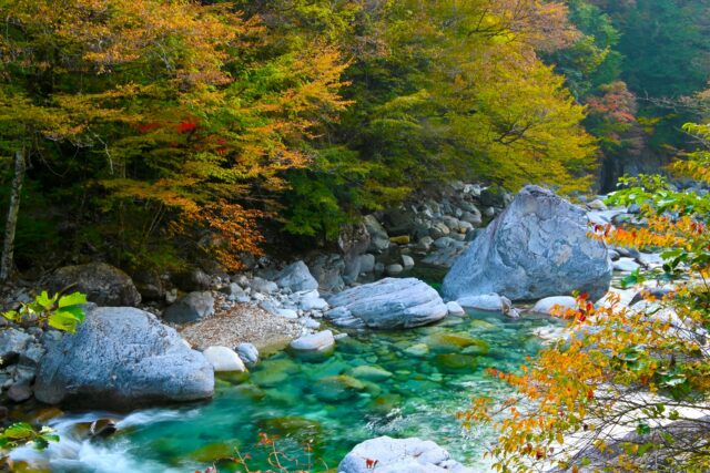 長野の川遊びができる清流　阿寺渓谷