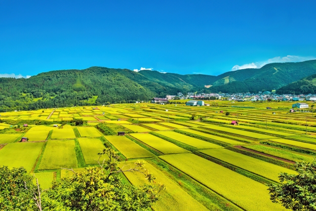 長野の田園風景広がる棚田