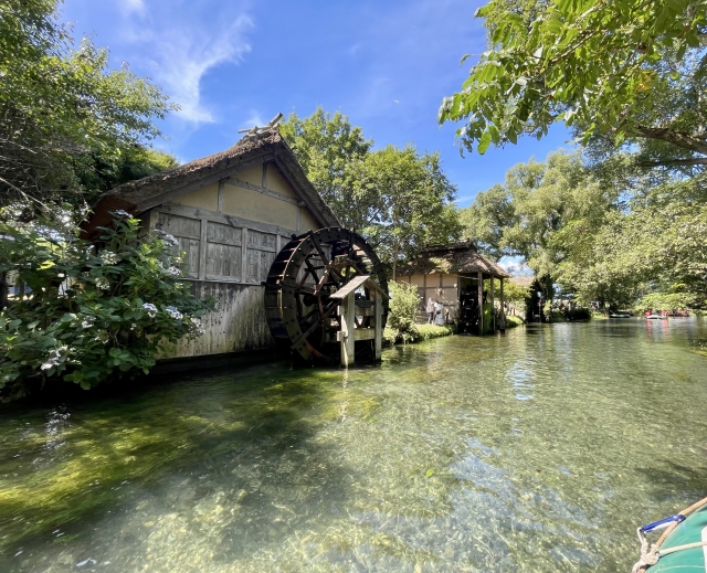 長野の大王わさび農場の水車小屋