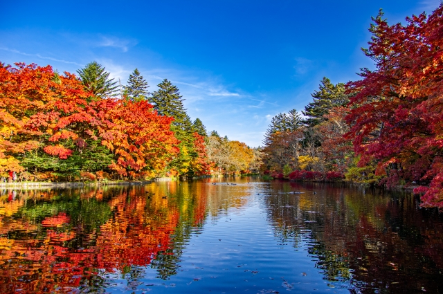 長野県の紅葉が美しい湖