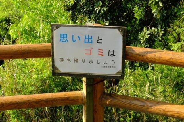 長野で森林浴セラピー体験！心と体を癒すおすすめスポット5選 