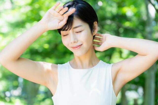 長野で森林浴セラピー体験！心と体を癒すおすすめスポット5選