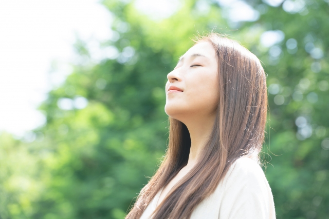 長野で森林浴セラピー体験！心と体を癒すおすすめスポット5選