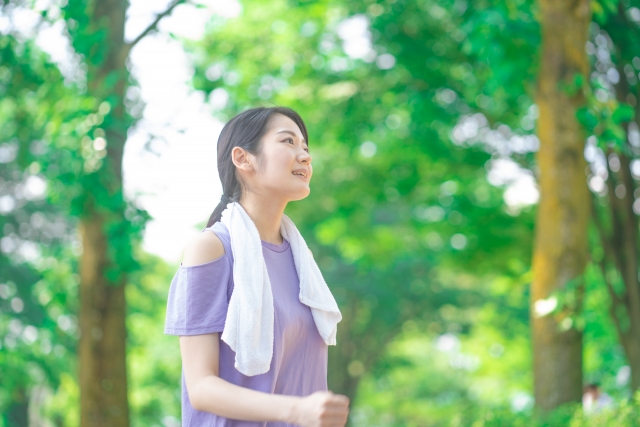 長野で森林浴セラピー体験！心と体を癒すおすすめスポット5選