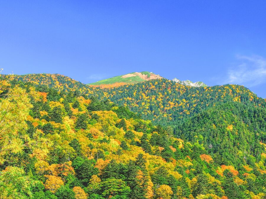 長野　浅間山　登山