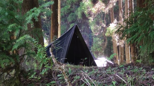 自然　森　キャンプ場　テント