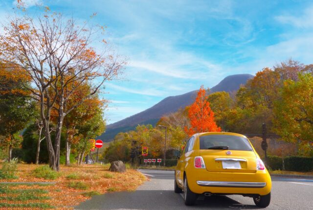 ドライブ、日帰りで楽しむサウナ旅