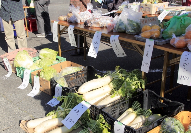 長野　10月　イベント会場　出店