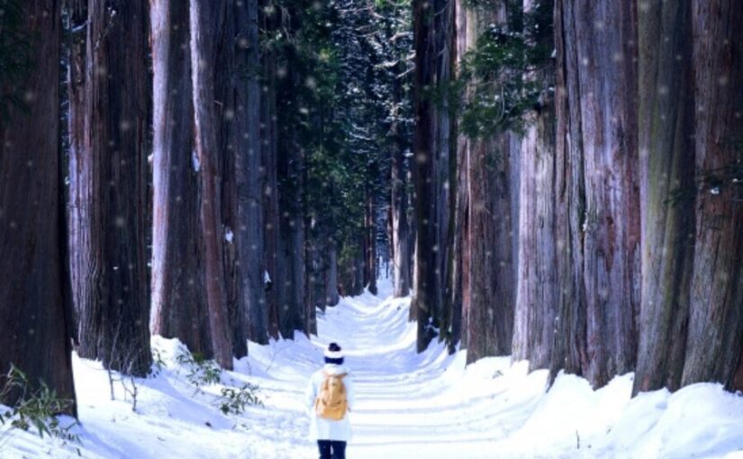 長野旅行　2月　戸隠神社