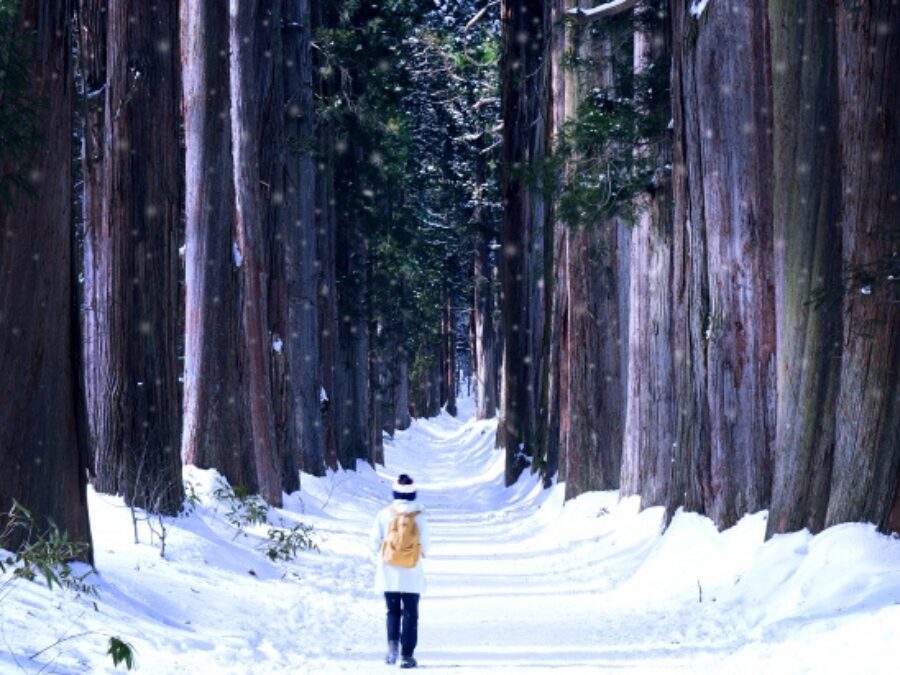 長野旅行　2月　戸隠神社