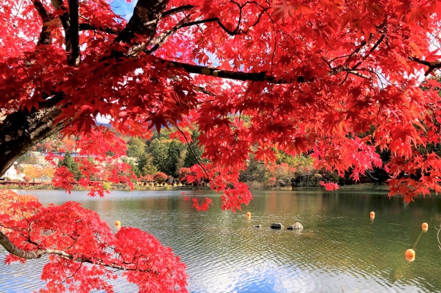 長野　11月　もみじ湖