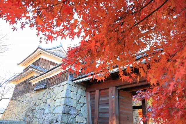 長野　11月　上田城跡公園の紅葉