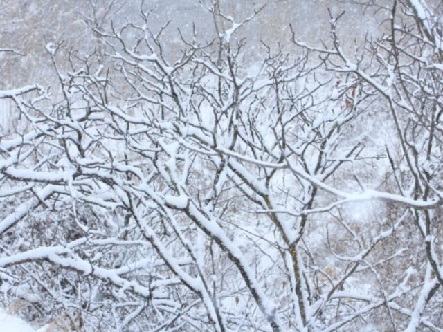 長野　冬の景色　2月