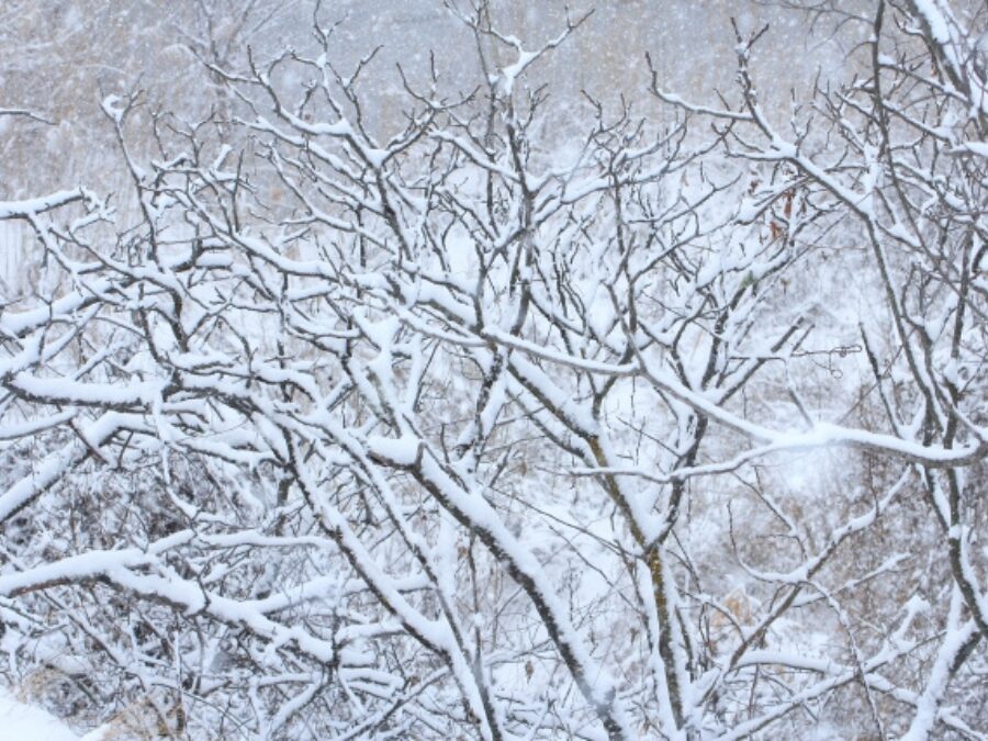 長野　冬の景色　12月
