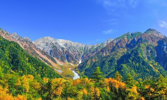 天空の彩！上高地の紅葉
