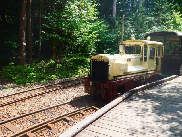 森の中を走るレトロなトロッコ列車