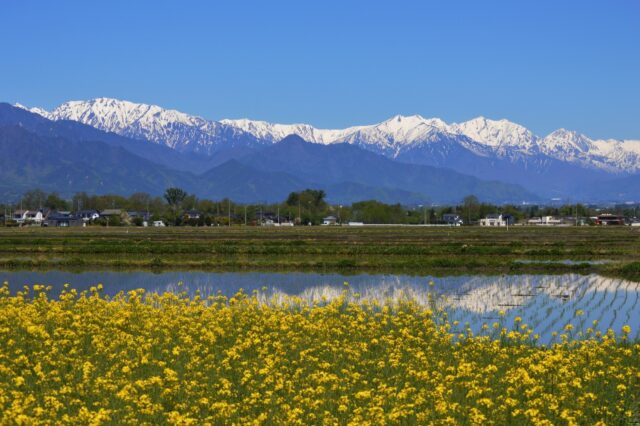 北アルプス　春