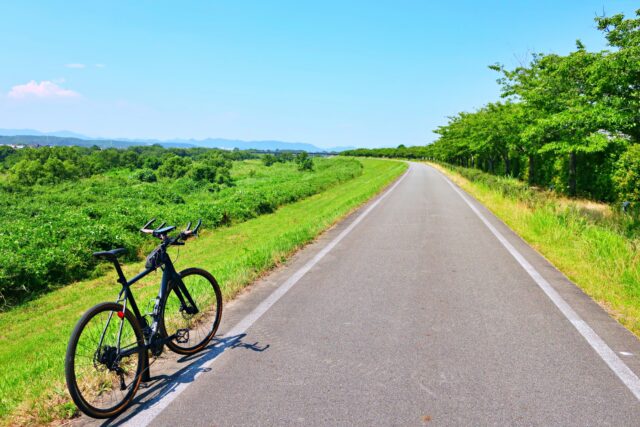 サイクリングロード