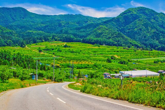 夏の緑が美しいさわやか信州の風景