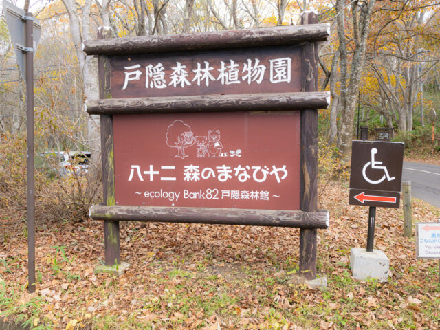 長野　ハイキング　戸隠森林植物園