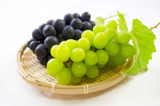 ナガノパープル シャインマスカット