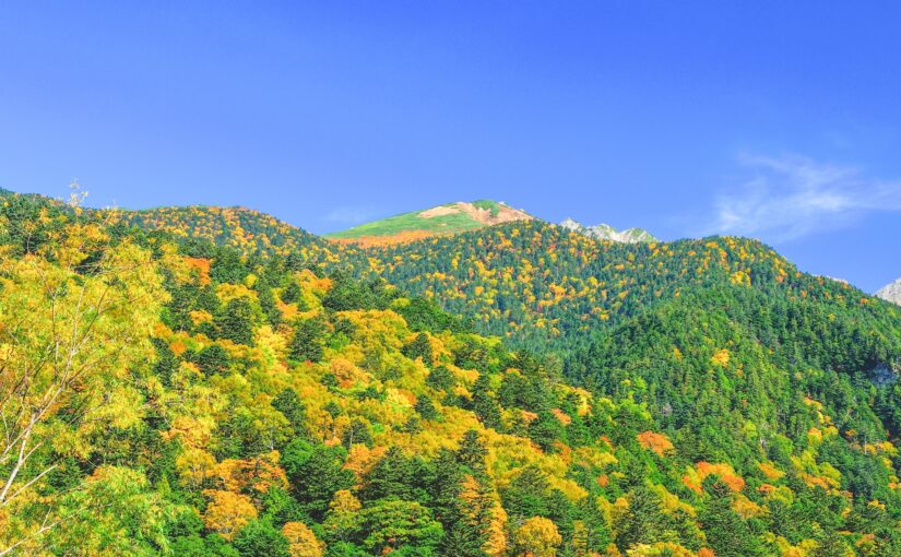 上高地　紅葉