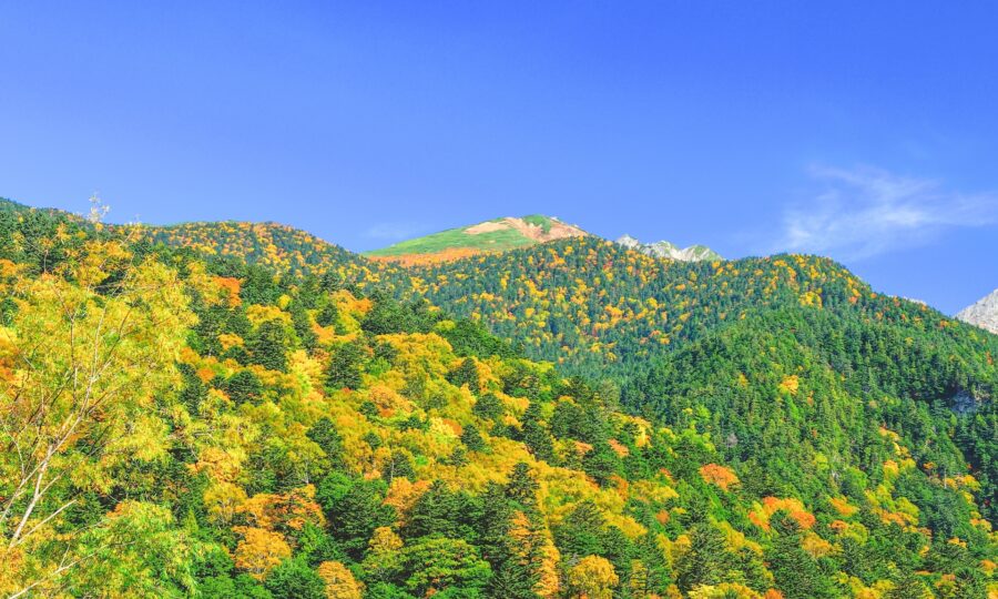 上高地　紅葉