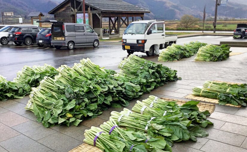 信州 冬の風物詩・山積みの 野沢菜　道の駅
