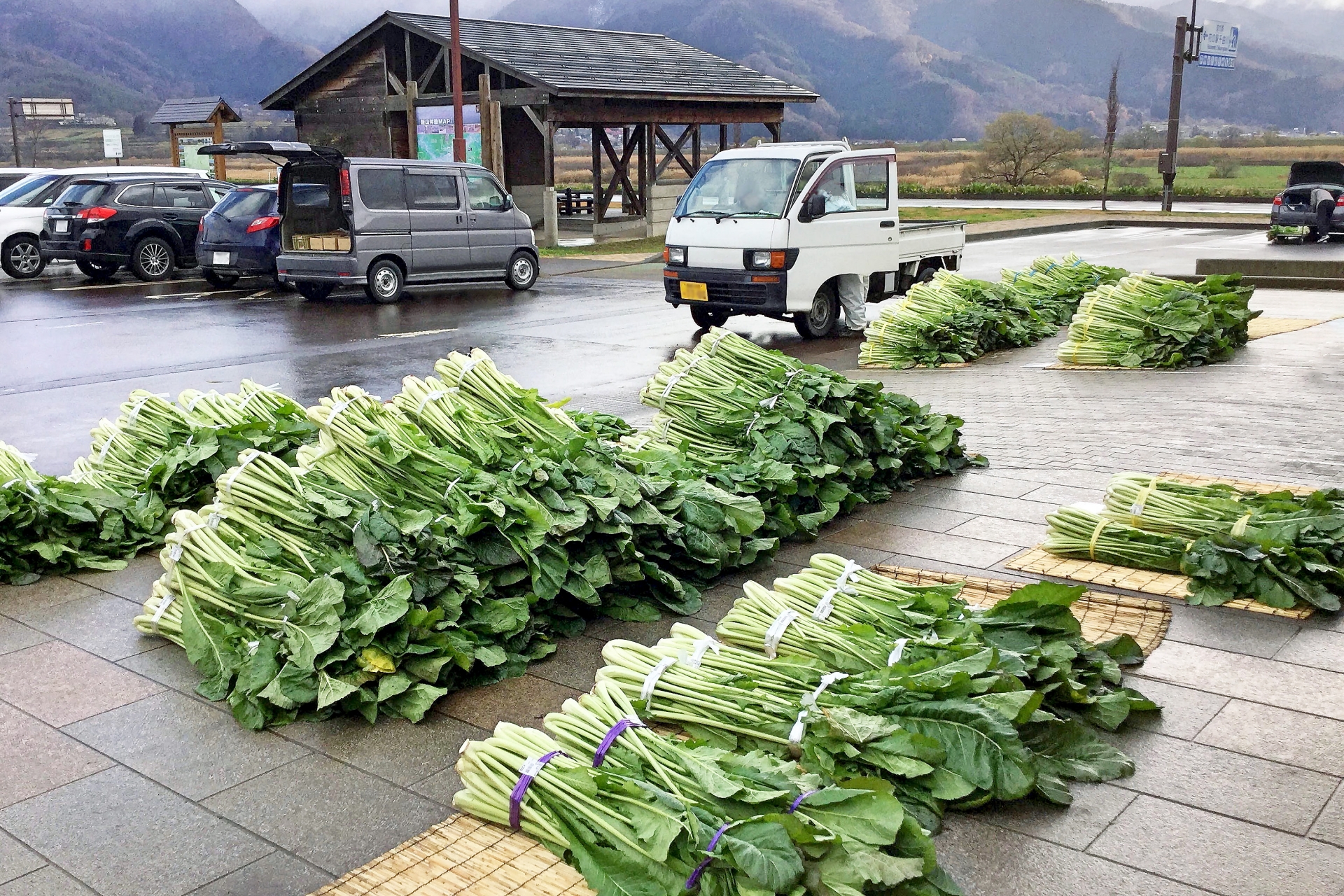 信州 冬の風物詩・山積みの 野沢菜　道の駅