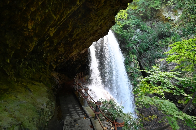 裏見の滝　雷滝