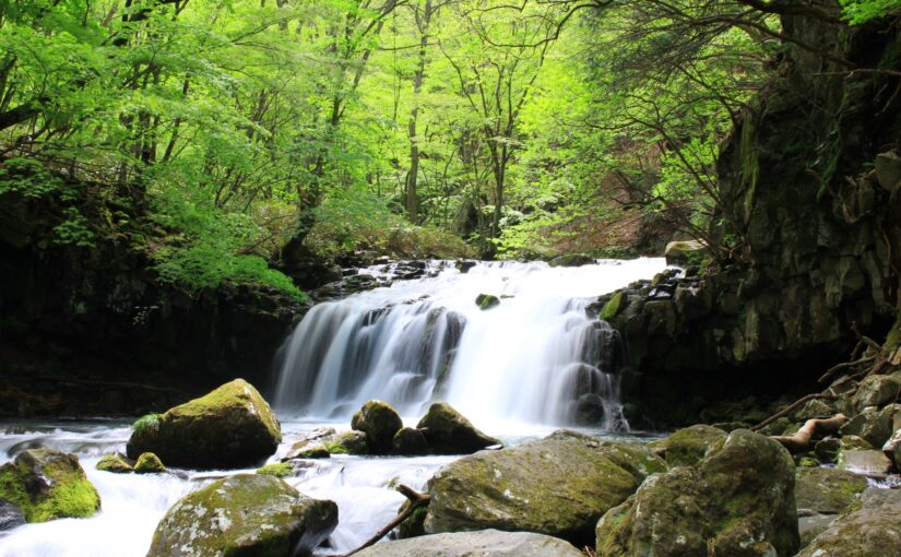 長野　深緑の蓼科大滝