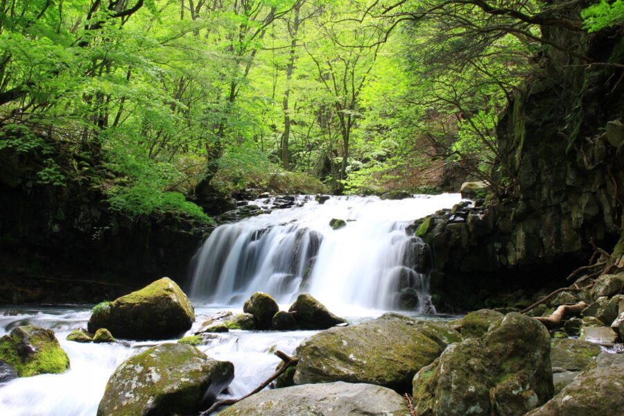長野　深緑の蓼科大滝
