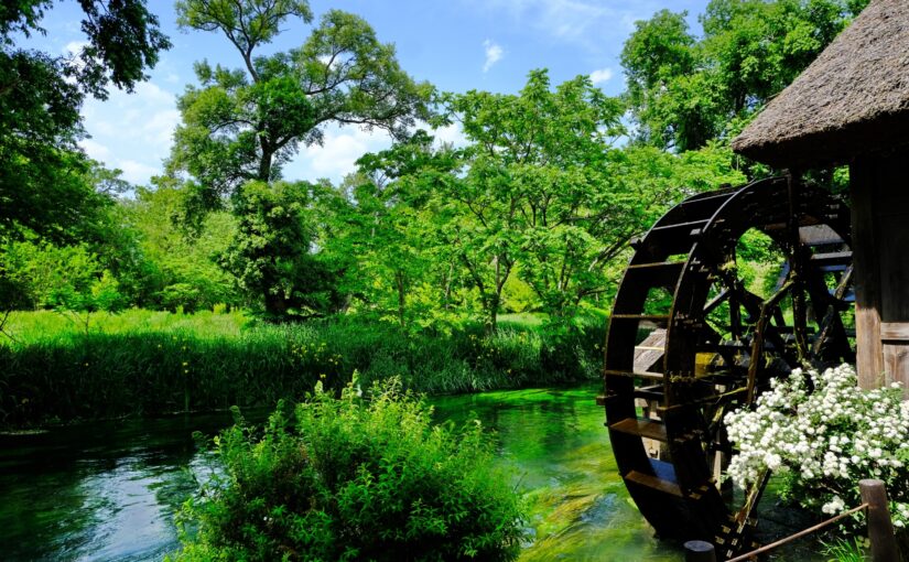 大王わさび農場