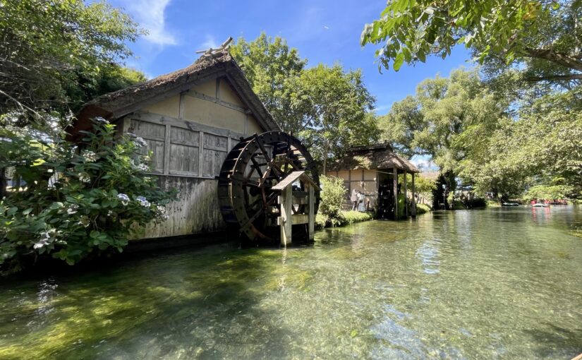 大王わさび　水車