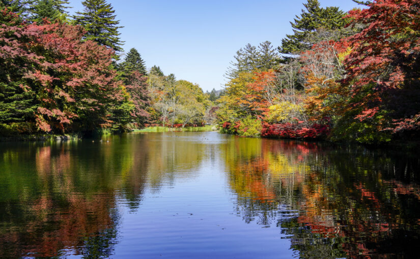 長野軽井沢　９月　池の紅葉　