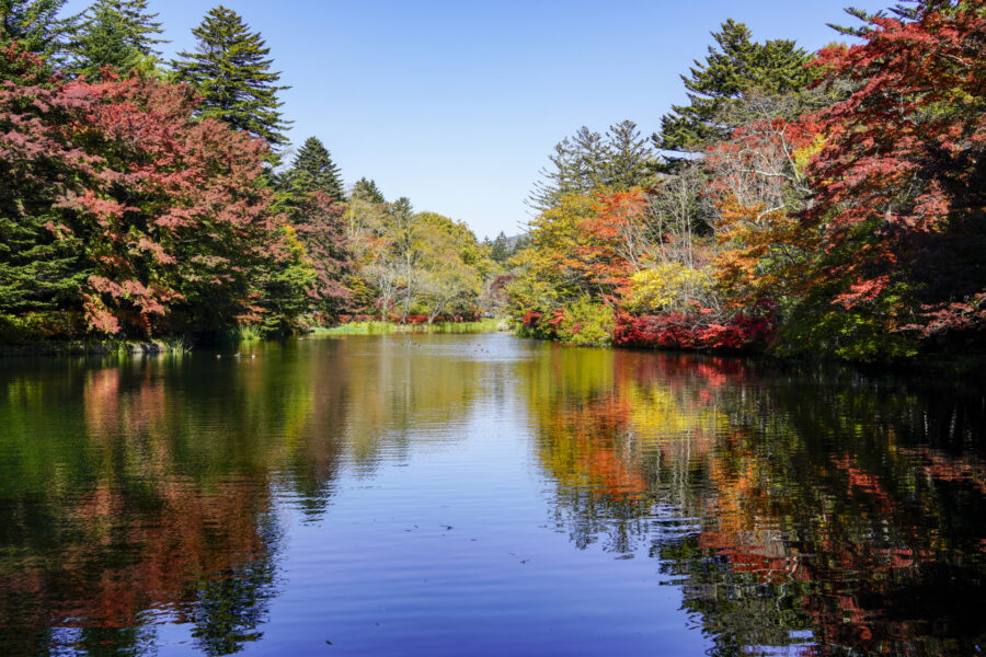 長野軽井沢　９月　池の紅葉　