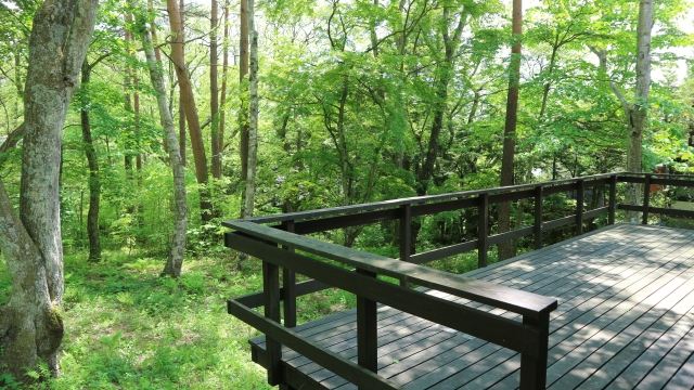 軽井沢 別荘 森林