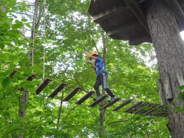 An adventure course for children that involves carefully navigating wooden steps high up in the trees