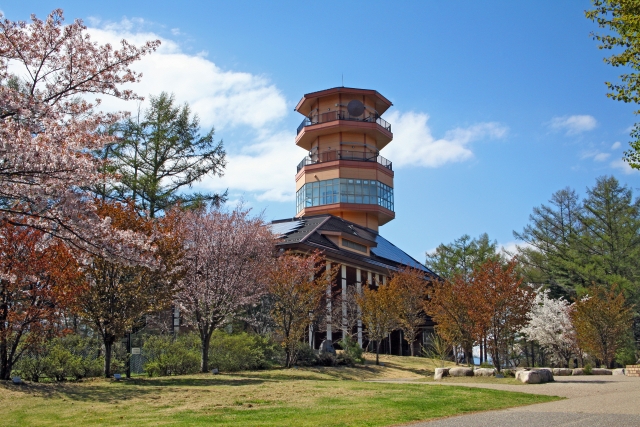 The "Dream Mountain Observatory," the iconic tower of Matsumoto City's Alps Park, stands out against the blue sky and cherry blossoms in full bloom.