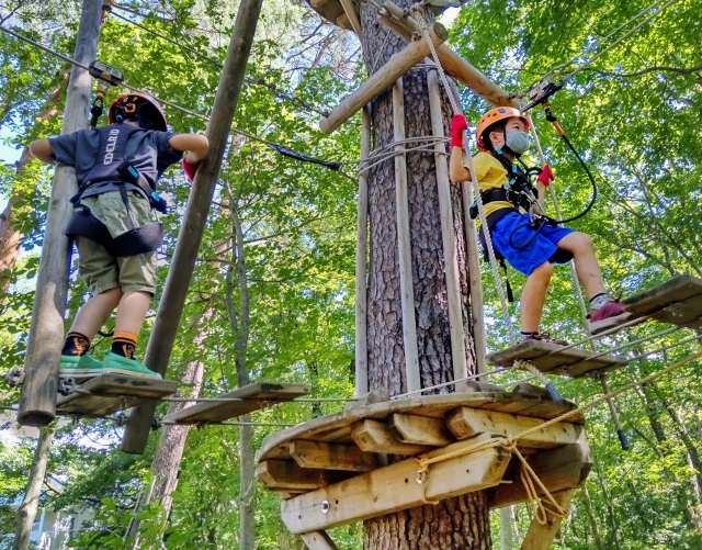 Children wearing harnesses and helmets as they take on the high-rope course